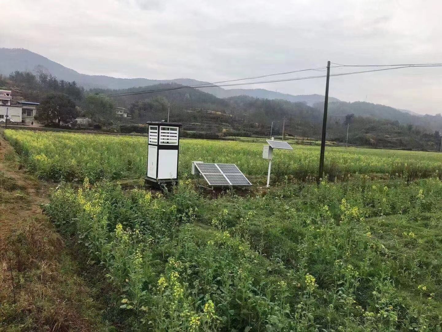 智能型蟲情測報燈_可視化病蟲測報燈_太陽能蟲情測報燈價格